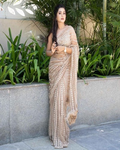 women's wear soft net embroidery saree
