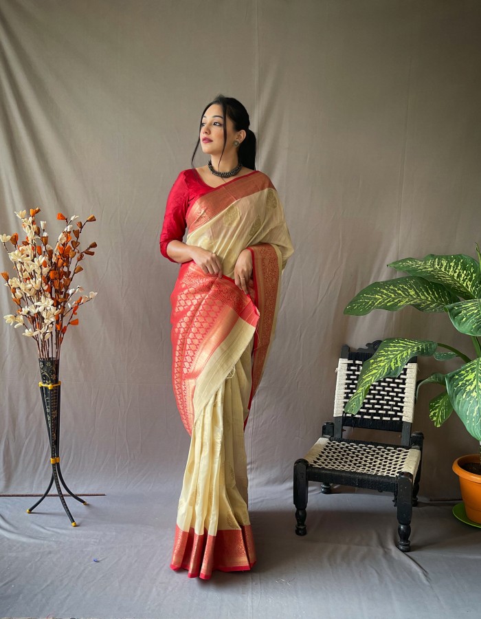 Chiku Linen Silk Saree