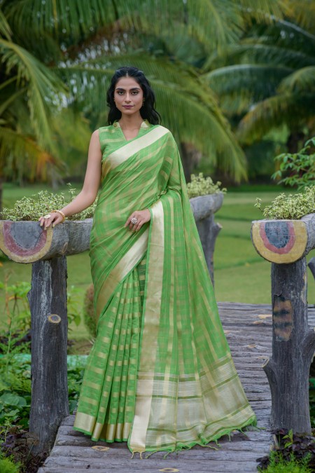 Green Organza Zari Border Saree