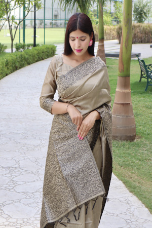 Chiku color Handloom Raw Silk saree