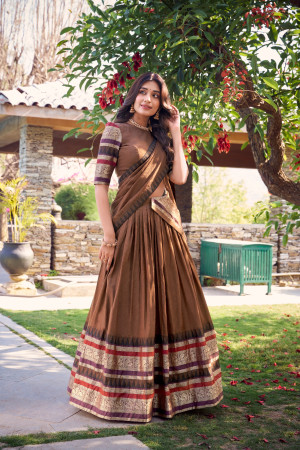 Brown Color Lehenga choli set